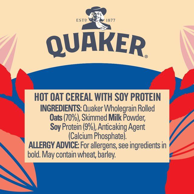 Quaker Oat So Simple Protein Porridge Cereal Pot Original 49g