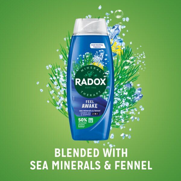 Radox Feel Awake 2-In-1 Body Wash & Shampoo 450ml