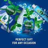 Radox Ultimate Bath Collection Gift Set