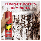 Raid Ant & Cockroach Killer 300ml