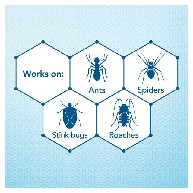 Raid Freeze Crawling Insects Spray 300ml