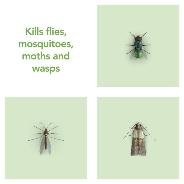 Raid Plant Based Fly Wasp & Mosquito Killer Aerosol Spray 300ml