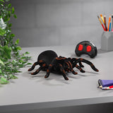 RED5 Remote Control Tarantula