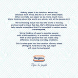 Regina Blitz Household Towel 2 per pack