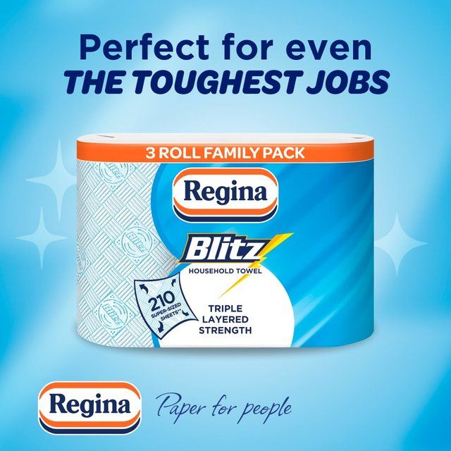 Regina Blitz Household Towel 3 per pack