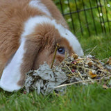 Rosewood Naturals Summer Harvest 150g