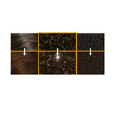 Schwarzkopf Live Colour M05 Truffle Temptation Brown Permanent Hair Dye