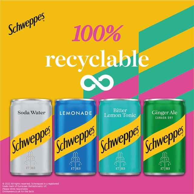 Schweppes Ginger Ale 12 x 150ml