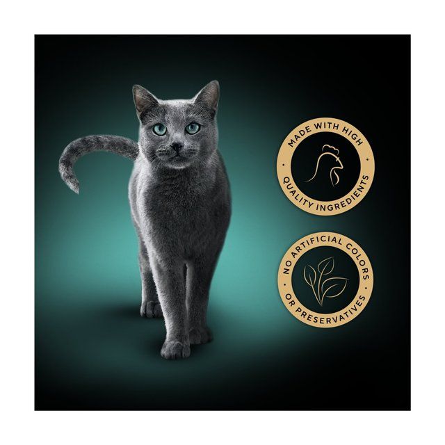 Sheba Fillets Cat Food Tray with Chicken in Gravy 60g