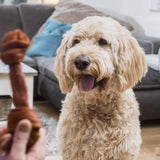 SmartBones 2 Medium Beef Rawhide Free Bone Dog Treats 158g