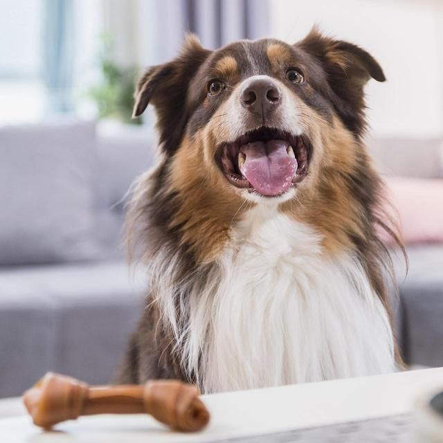 SmartBones Mini Chicken Rawhide Free Bones Dog Treats 128g