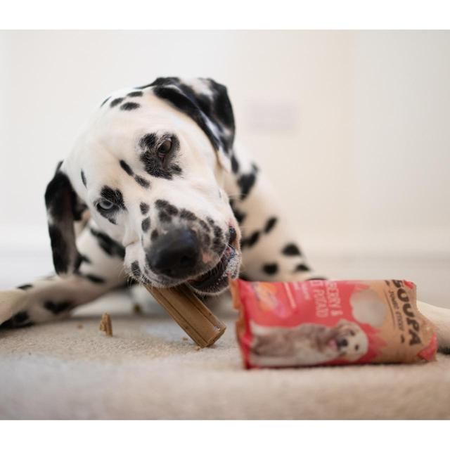 Soopa Cranberry & Sweet Potato Jumbo Stick 170g