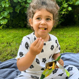 Soul Fruit Freeze Dried Jackfruit Crisps 20g