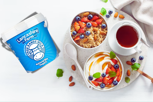 Wholesome Breakfast Delights with Natural Bio Yogurt