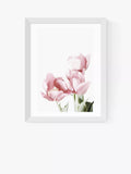 EAST END PRINTS Sisi and Seb 'Tulips' Framed Print