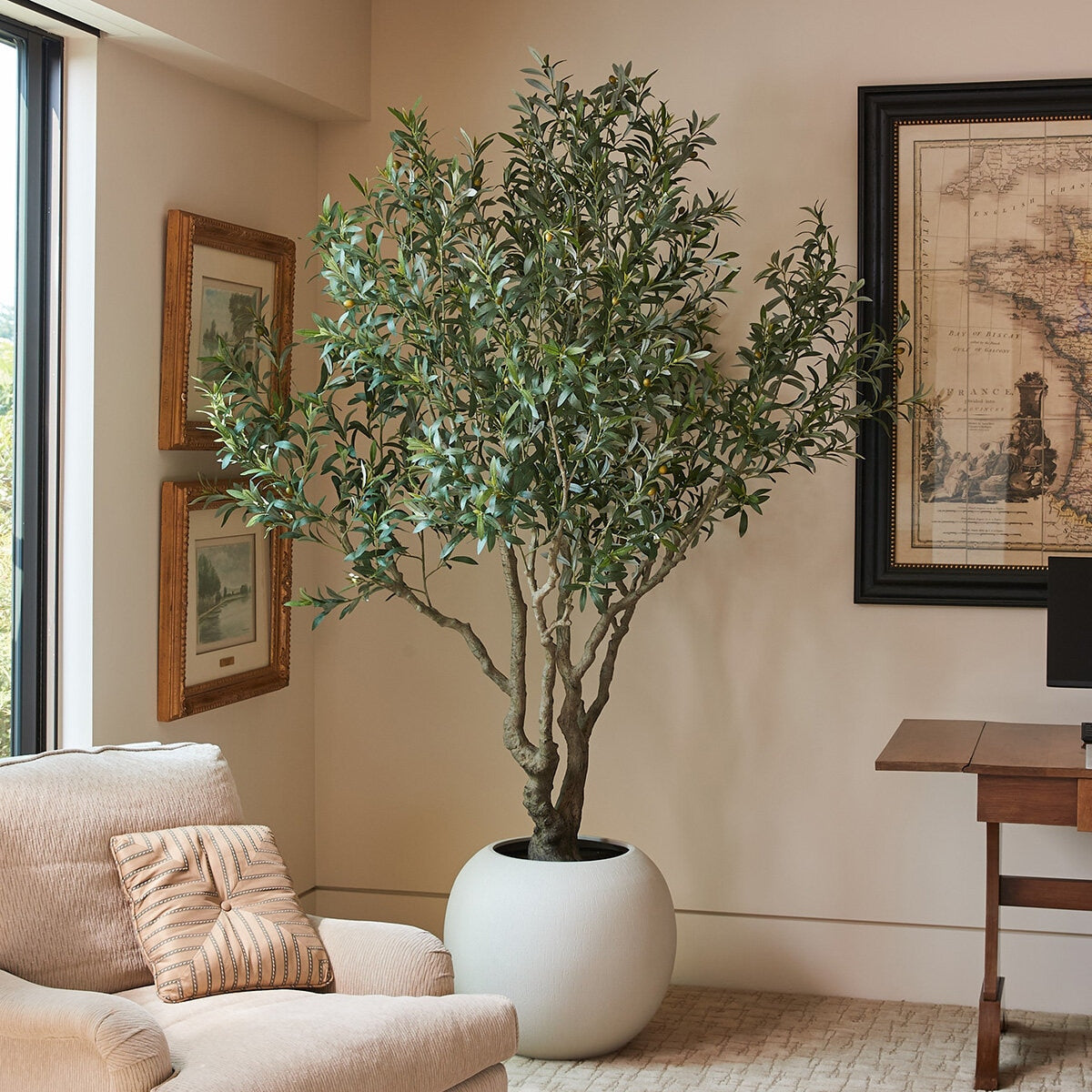 Artificial 8ft Olive Tree in Planter - McGrocer