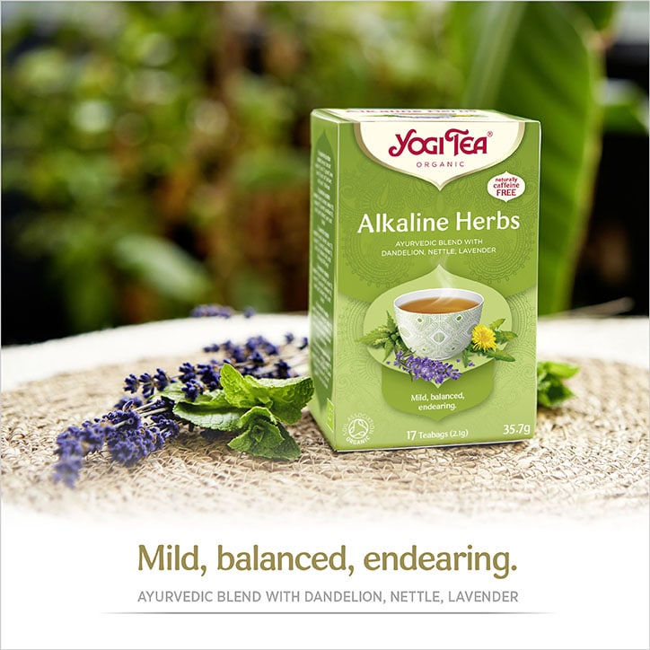 Yogi Tea® Alkaline Herbs Organic 17 Tea Bags GOODS Holland&Barrett