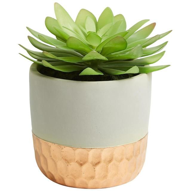 M&S Artificial Succulent in Metallic Pot 21X43.8cm Tableware & Kitchen Accessories M&S   