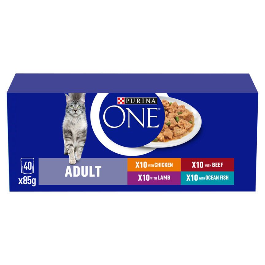 Purina ONE Adult Cat Food Mini Fillets in Gravy 40 x