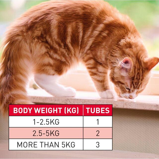 Beaphar WORMclear Worming Spot-On for Cats   6 per pack - McGrocer