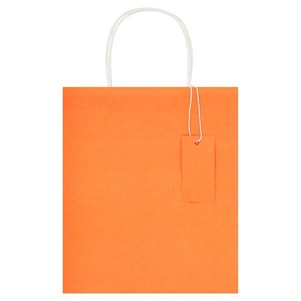 Medium Recyclable Kraft Gift Bag for All Occasions