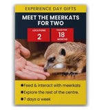 Activity Superstore Meet the Meerkats for Two