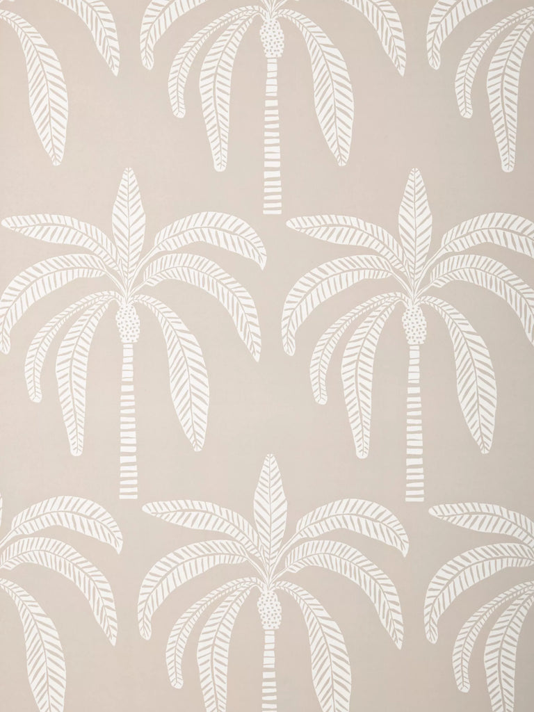 John Lewis ANYDAY Desert Palm Wallpaper