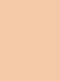 Giorgio Armani Power Fabric + Foundation - McGrocer