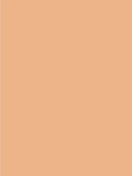 Giorgio Armani Power Fabric + Foundation - McGrocer