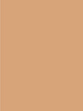 Giorgio Armani Power Fabric + Foundation - McGrocer