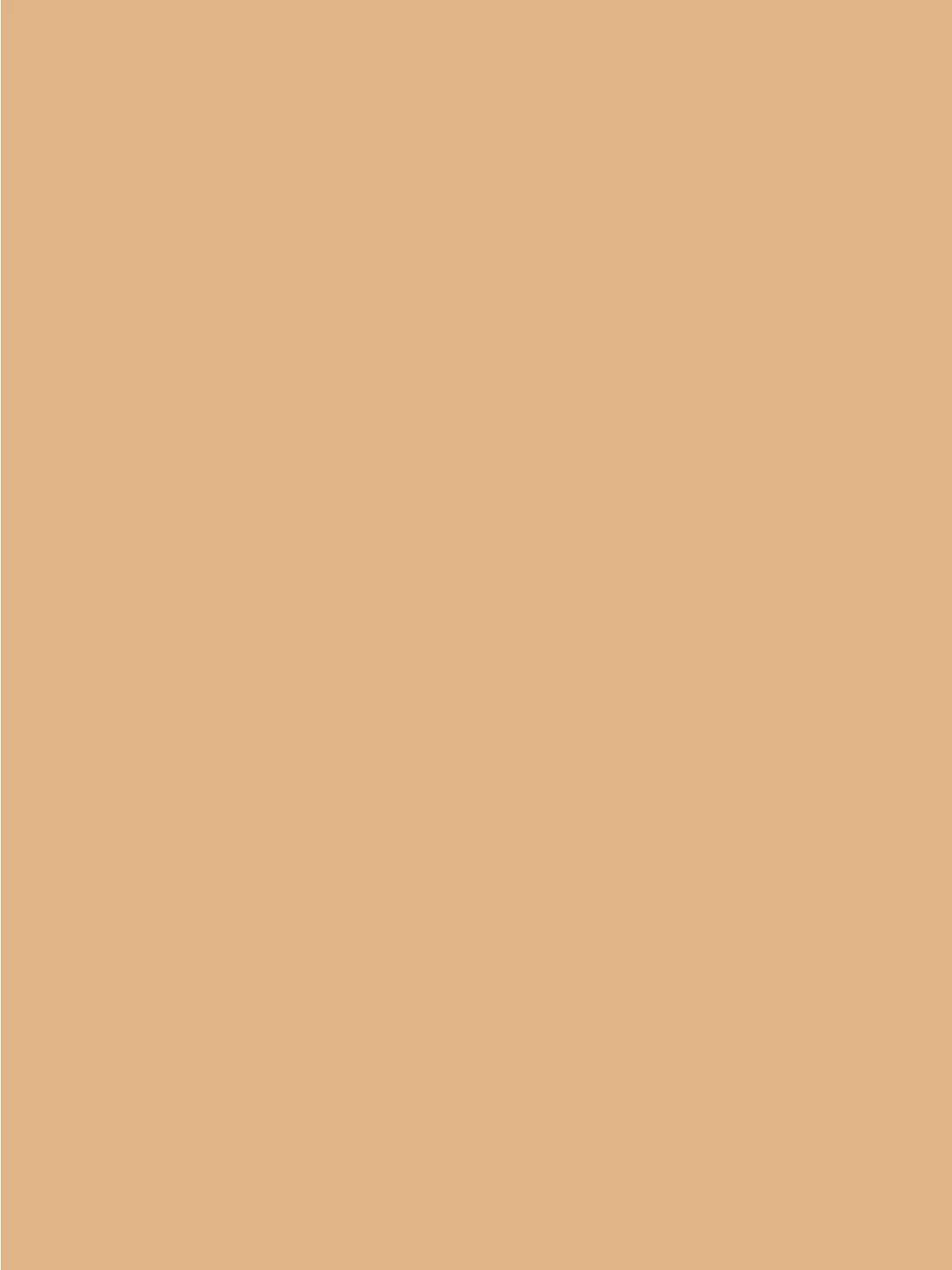 Giorgio Armani Power Fabric + Foundation - McGrocer