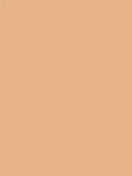 Giorgio Armani Power Fabric + Foundation - McGrocer