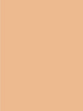 Giorgio Armani Power Fabric + Foundation - McGrocer