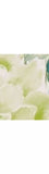 Designers Guild Kyoto Flower Wallpaper