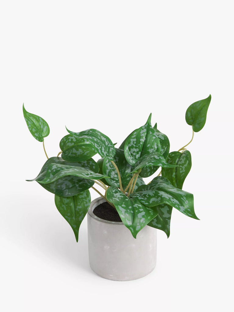 John Lewis Artificial Trailing Plant & Concrete Pot