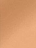 Guerlain Terracotta Le Teint Healthy Glow Natural Perfection Foundation 24H Wear