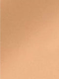 Guerlain Terracotta Le Teint Healthy Glow Natural Perfection Foundation 24H Wear