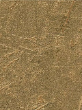 Galerie Scratched Texture Wallpaper