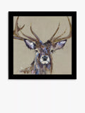 John Lewis Louise Luton 'Majesty' Stag Framed Print, 33.5 x 33.5cm, Brown/Multi