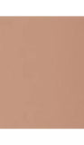Urban Decay Face Bond Triple Power Foundation - McGrocer