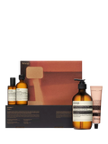 Aesop Hand and Home Screen 1 Bodycare Gift Set