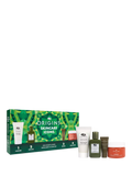 Origins Skincare Icons Gift Set