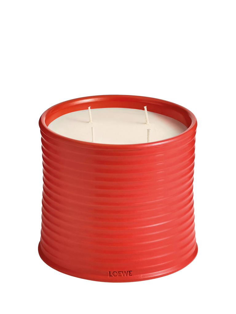 LOEWE Tomato Leaves Scented Candle