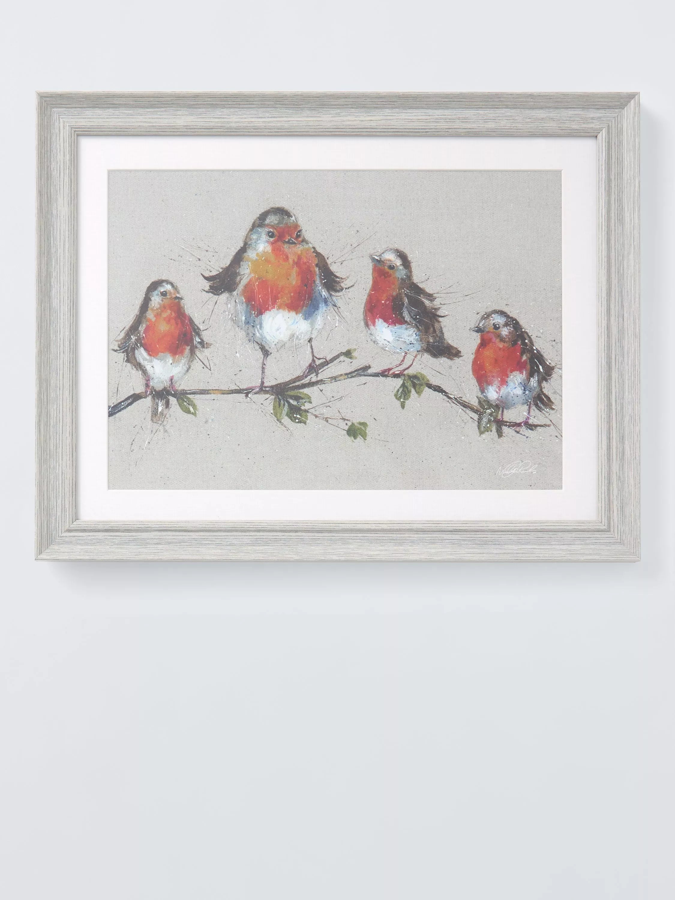John Lewis Nicola Jane Rowles 'Robins' Framed Print & Mount, 35 x 45cm, Grey - McGrocer