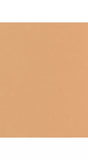 Trinny London BFF All Day Foundation - McGrocer