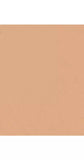 Trinny London BFF All Day Foundation - McGrocer