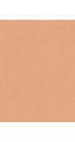 Trinny London BFF All Day Foundation - McGrocer
