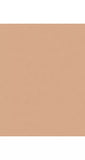 Trinny London BFF All Day Foundation - McGrocer