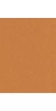 Trinny London BFF All Day Foundation - McGrocer