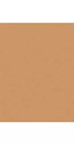 Trinny London BFF All Day Foundation - McGrocer